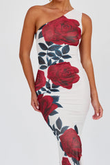 Desiree One Shoulder Mesh Maxi Dress Rose